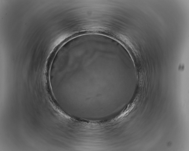 X0000095521071200712141441