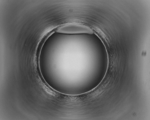 X0000095521072200712141441