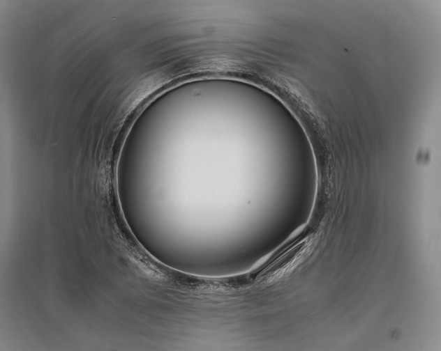 X0000095521073200712141441
