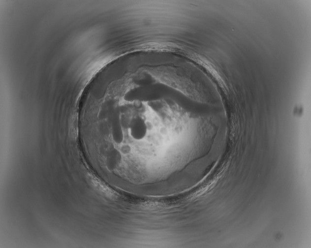 X0000095521075200712141441