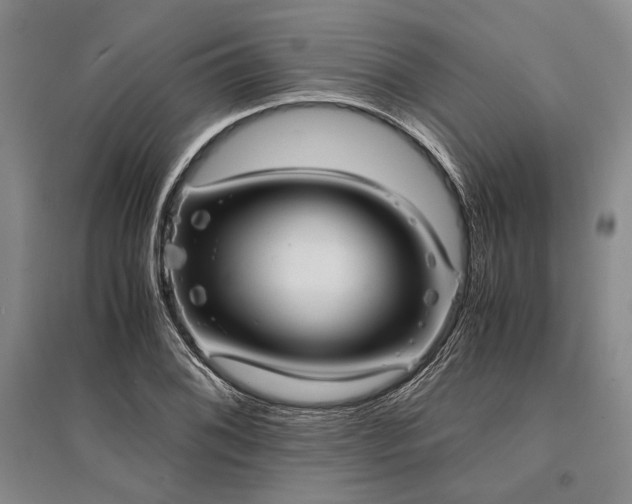 X0000095521076200712141441
