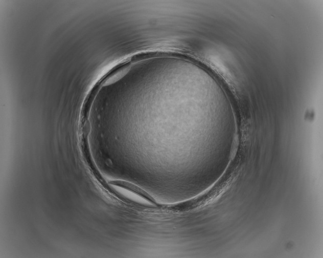 X0000095521077200712141441