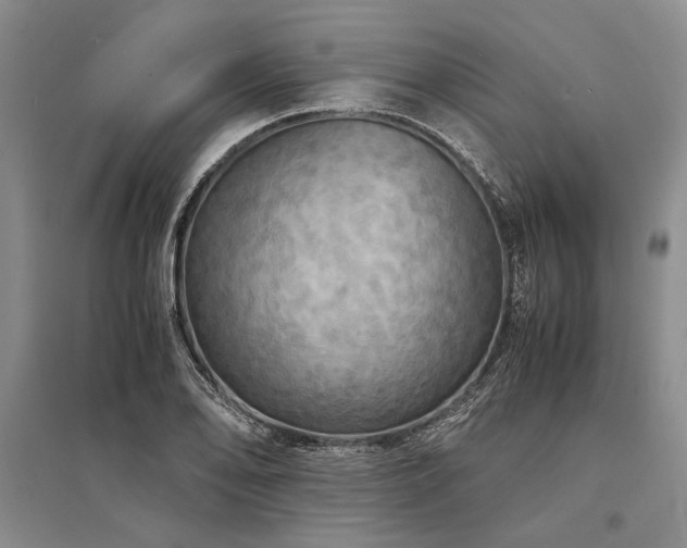 X0000095521078200712141441