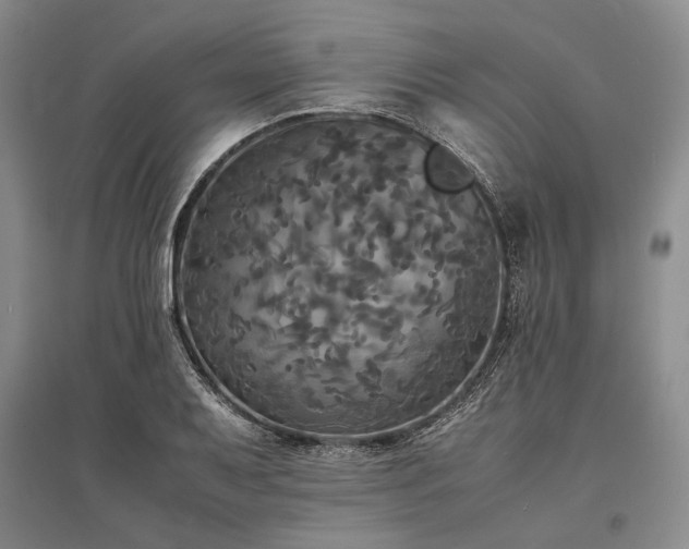 X0000095521079200712141441