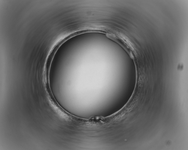 X0000095521080200712141441