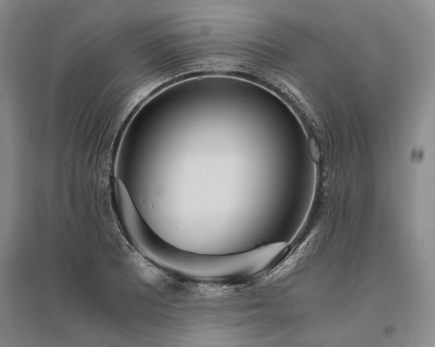 X0000095521081200712141441