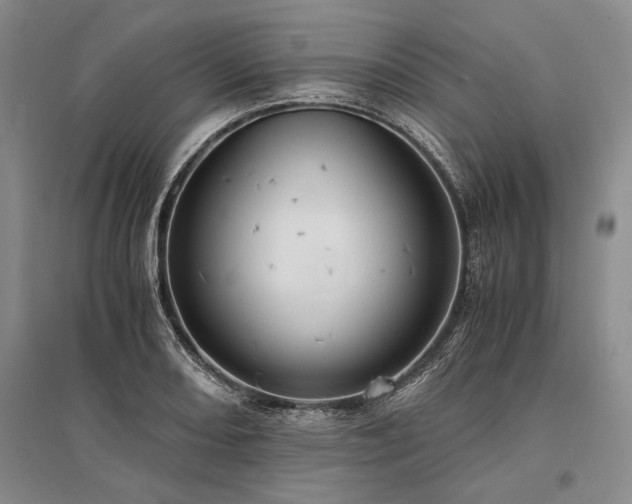 X0000095521082200712141441