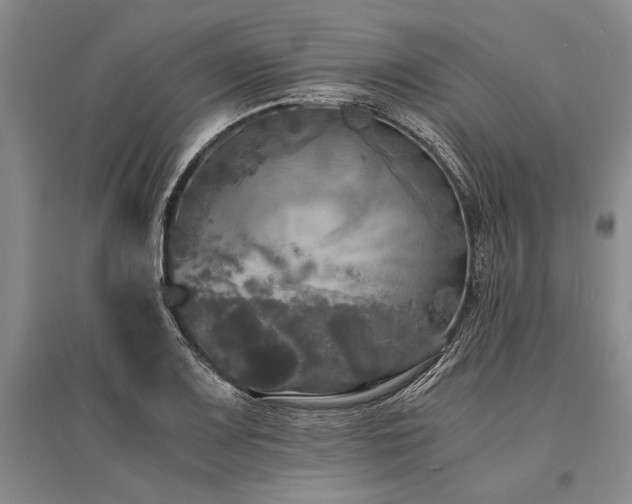 X0000095521083200712141441