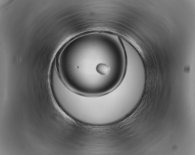 X0000095521084200712141441