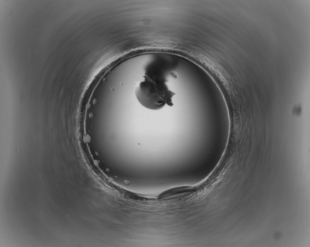 X0000095521085200712141441