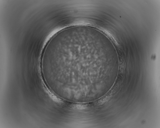 X0000095521086200712141441