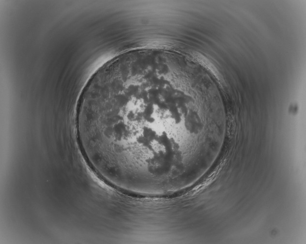 X0000095521087200712141441