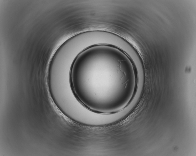 X0000095521088200712141441