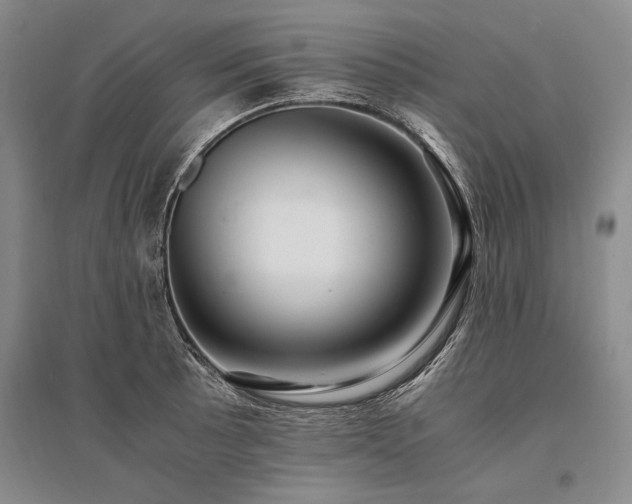 X0000095521089200712141441