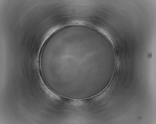 X0000095521090200712141441