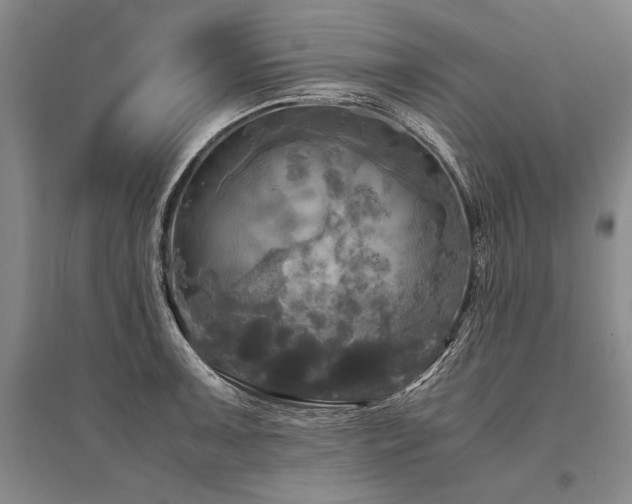 X0000095521091200712141441