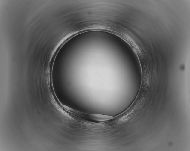 X0000095521092200712141441