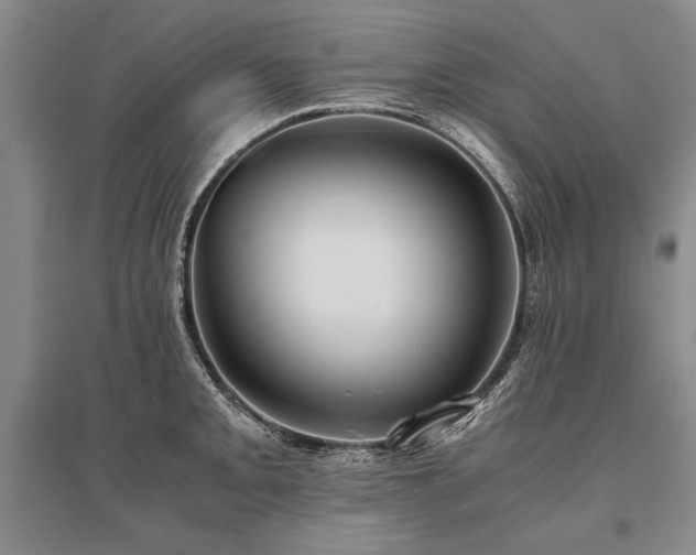 X0000095521093200712141441
