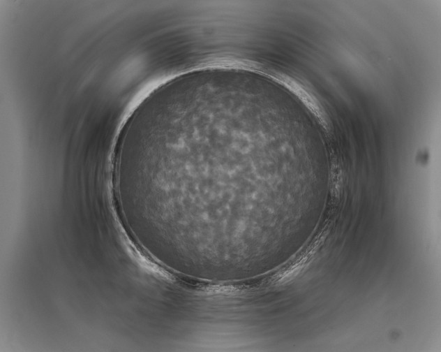 X0000095521094200712141440