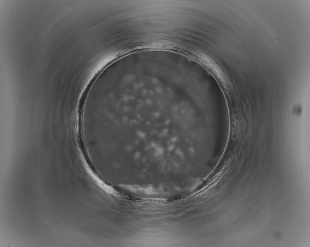 X0000095521095200712141440
