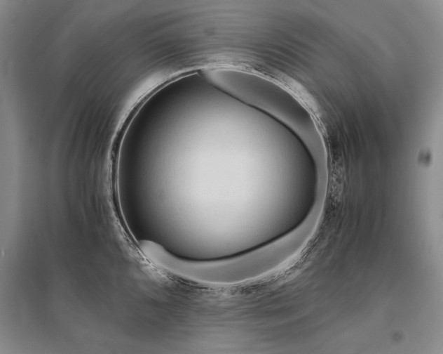 X0000095521096200712141440