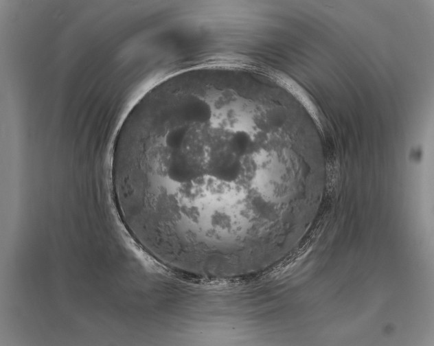 X0000095521099200712141440