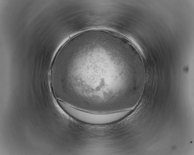 X0000095521100200712141440