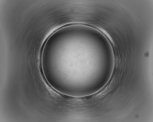 X0000095521101200712141440