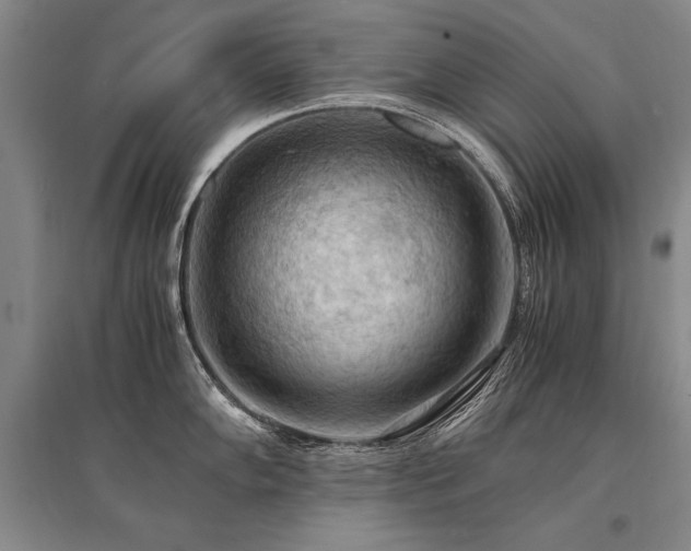 X0000095521102200712141440