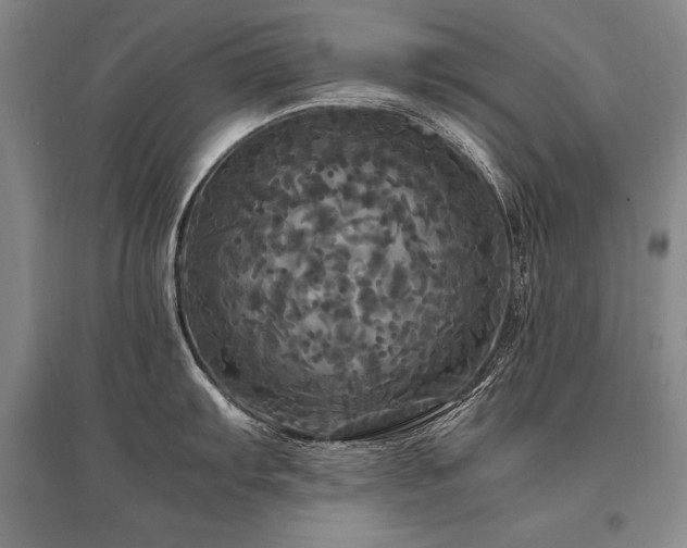 X0000095521103200712141440