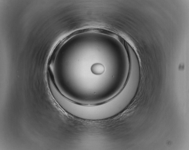 X0000095521104200712141440