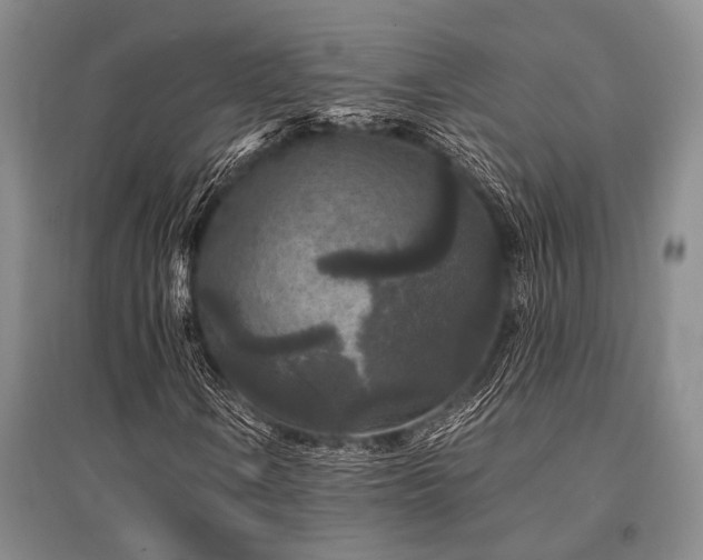 X0000095521106200712141440