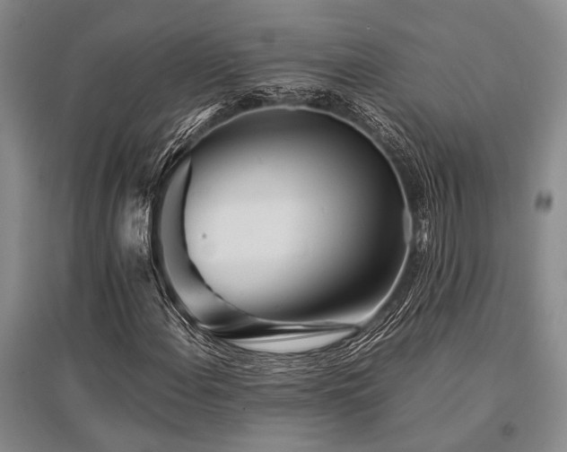 X0000095521108200712141440