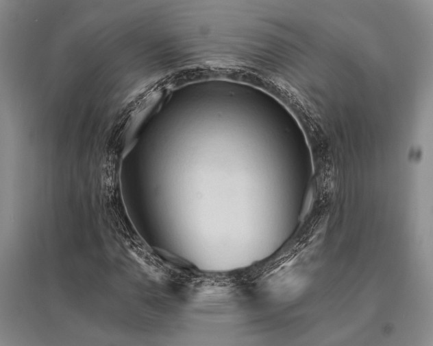X0000095521110200712141440
