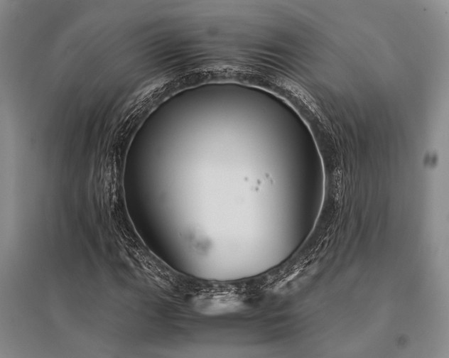 X0000095521111200712141440