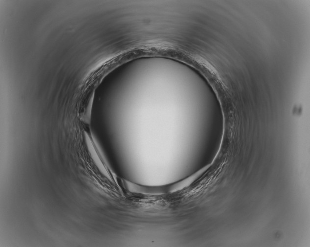 X0000095521112200712141440