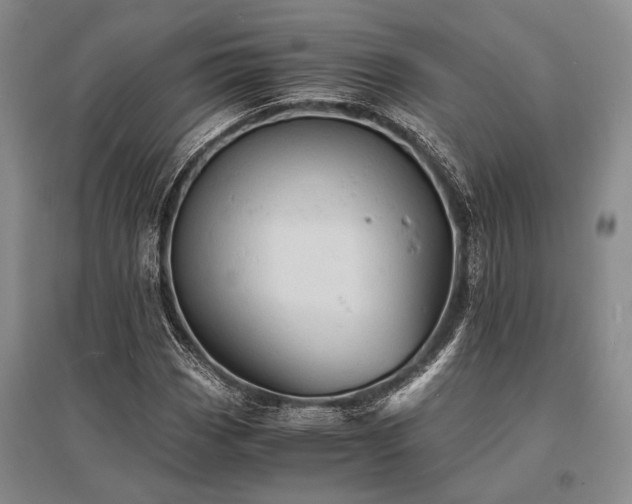 X0000095521113200712141440