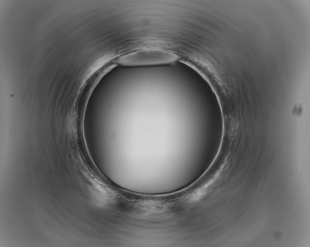 X0000095521114200712141440