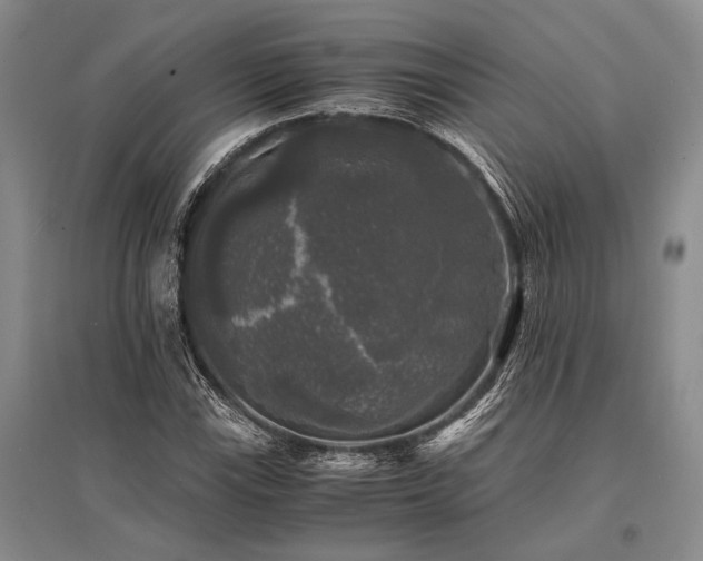 X0000095521115200712141440
