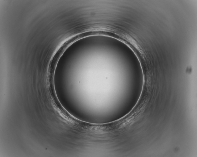 X0000095521116200712141440