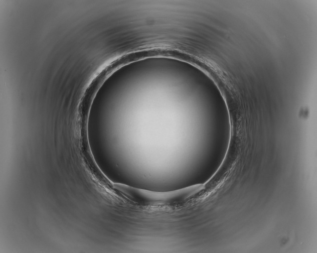 X0000095521118200712141440