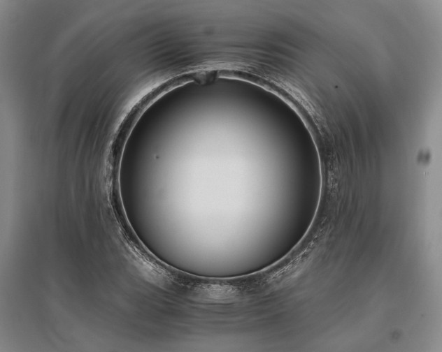 X0000095521119200712141440