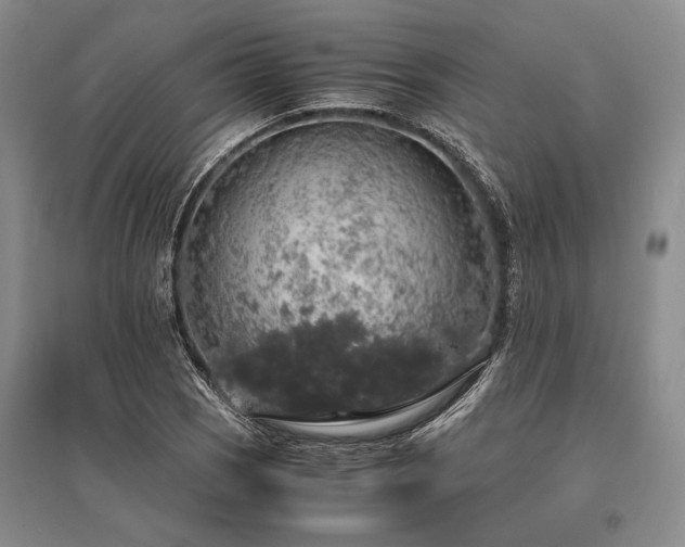 X0000095521121200712141440