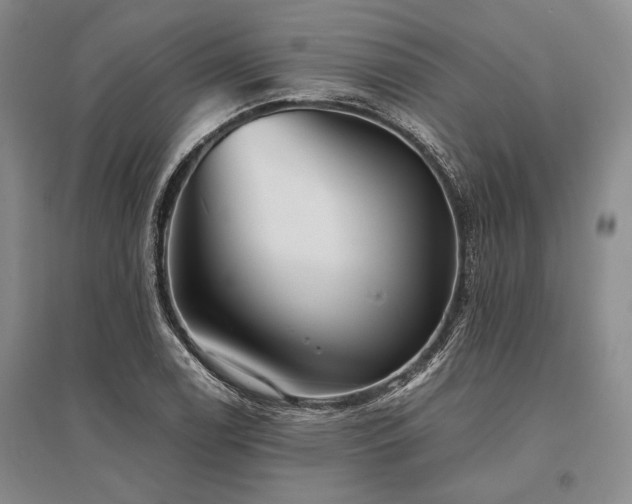 X0000095521122200712141440