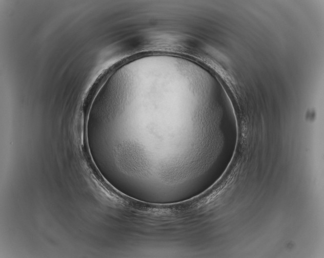 X0000095521123200712141440