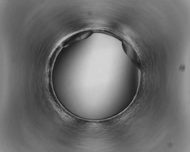 X0000095521124200712141440