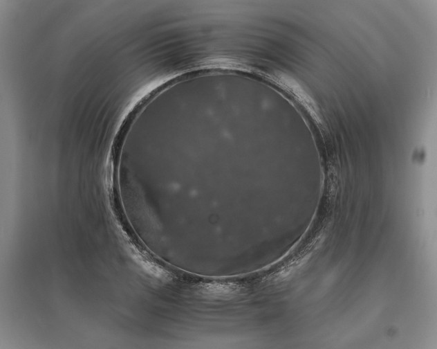X0000095521125200712141440