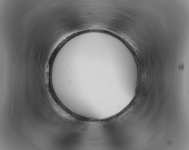 X0000095521126200712141440