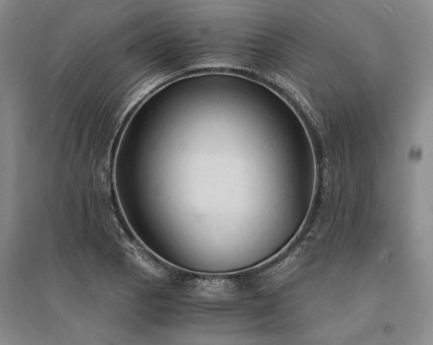 X0000095521129200712141440