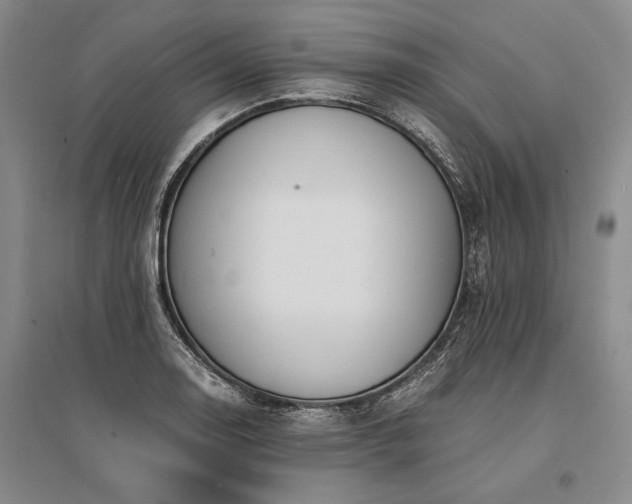 X0000095521130200712141440
